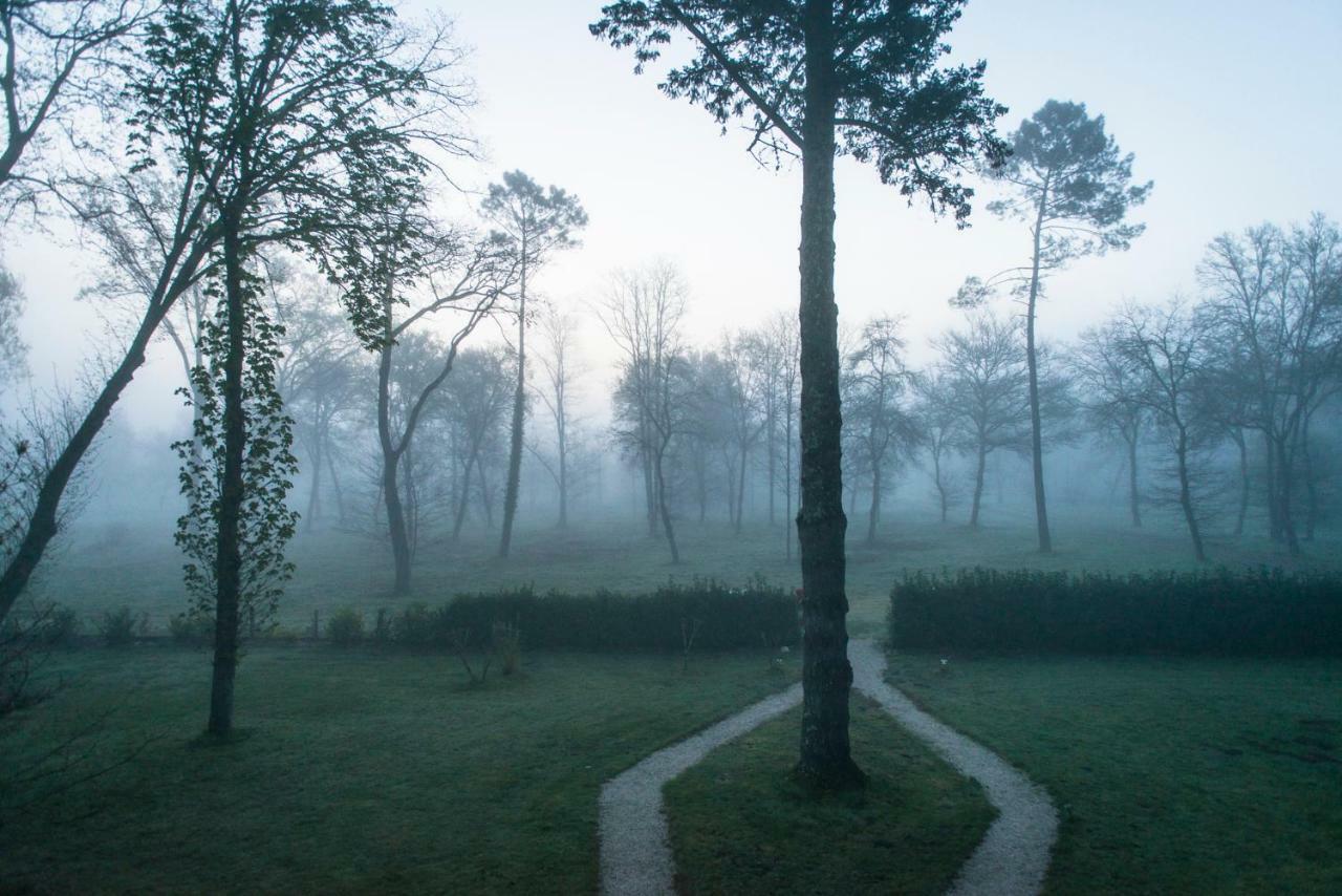 Les Chambres D'Hotes Du Domaine De Lugazaut Vielle-Soubiran Bagian luar foto